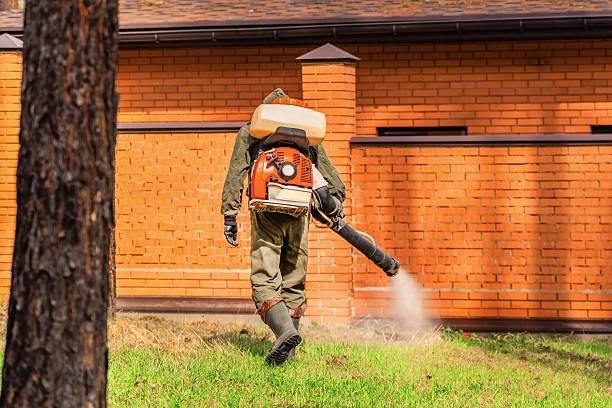 Bed Bug Clearance Verification and Documentation in Creedmoor